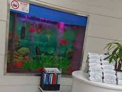 -雅悦齿科(顾村公园店)