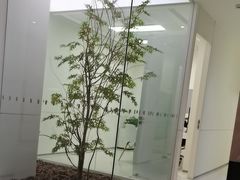 -极简口腔(总院)