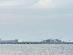 -上海吴淞炮台湾国家湿地公园