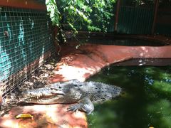 -热带雨林自然公园