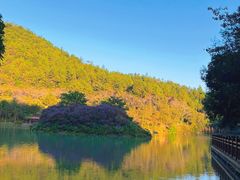 -广州白江湖森林公园