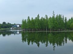 -白鹭湾湿地公园