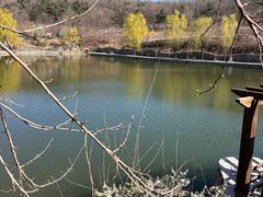 -大连北马山庄