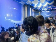 -大连圣亚海洋世界