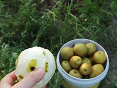 -云河农家乐饭店(福禄缘树山店)