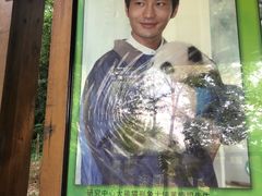 -中国大熊猫保护研究中心雅安碧峰峡基地