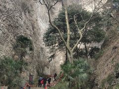 -窦圌山风景区