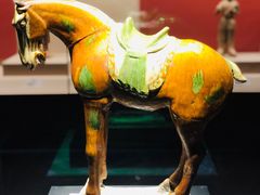 -宁夏博物馆