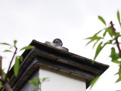 -乌山风景区