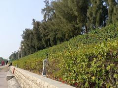 -宝安西湾红树林湿地公园