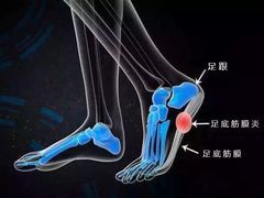 -御灸堂古法艾灸(东坝店)