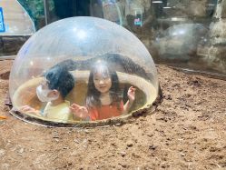 -宝燕乐园(闵行旗舰店)