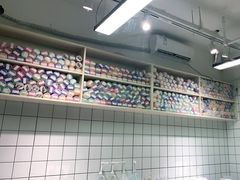 -老吴的猫·猫舍(新区店)