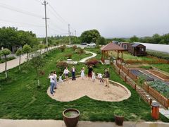 -龙湖东院农庄(乡间小路店)