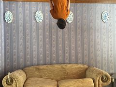 -金山农民画村-枫泾波兰倒置屋