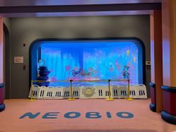 -超级奈尔宝SUPER NEOBIO(杭州星光店)