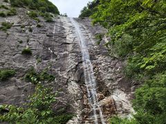 -朱雀国家森林公园