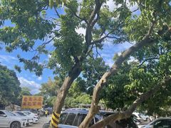 -满記土窑烧鷄波浪山莊