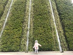 -活水公园