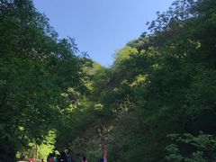 -北京上方山国家森林公园