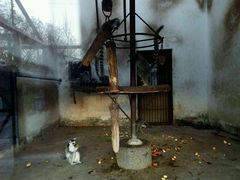 -石家庄市动物园