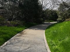 -桃花岛景观公园