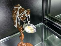 -志强陨石馆(双季花艺店)