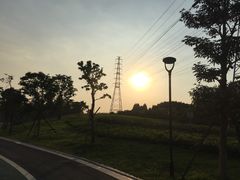 -王借岗森林公园