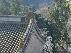 -潭柘寺景区