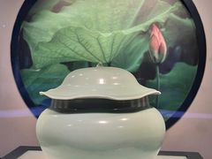 -四川宋瓷博物馆