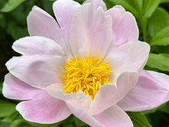 -木塔寺遗址生态公园