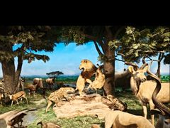 -国家自然博物馆