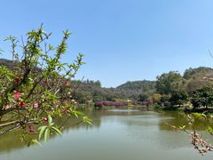 -南国桃园旅游度假区