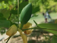 -北京植物园南门售票处