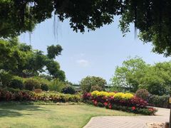 -胡里山炮台
