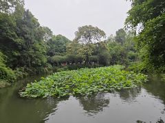 -成都杜甫草堂博物馆