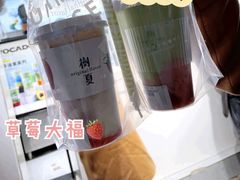 -树夏(建设路店)