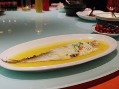 太湖野生大白鱼-淮扬府(安定门店)