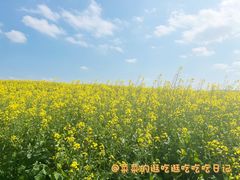-光明小镇欢乐田园