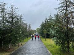 -铁山坪森林公园