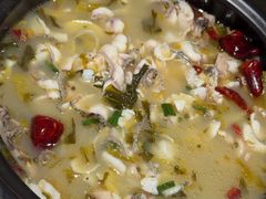 -周渝食惦酸菜鱼(青浦店)