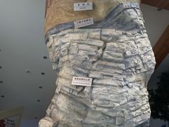 -延庆地质公园博物馆