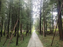 -佛冈森波拉度假区