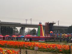 -秀丽东方