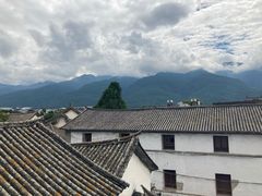 -喵屿·大理花园猫咖