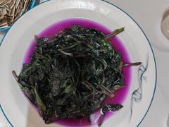 -全乐鱼馆·淳牌有机鱼直营店