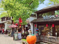 -西溪国家湿地公园