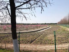 -嘉北郊野公园
