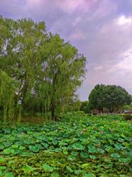 -玄武湖景区-情侣园游乐场