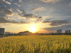 -光明小镇欢乐田园